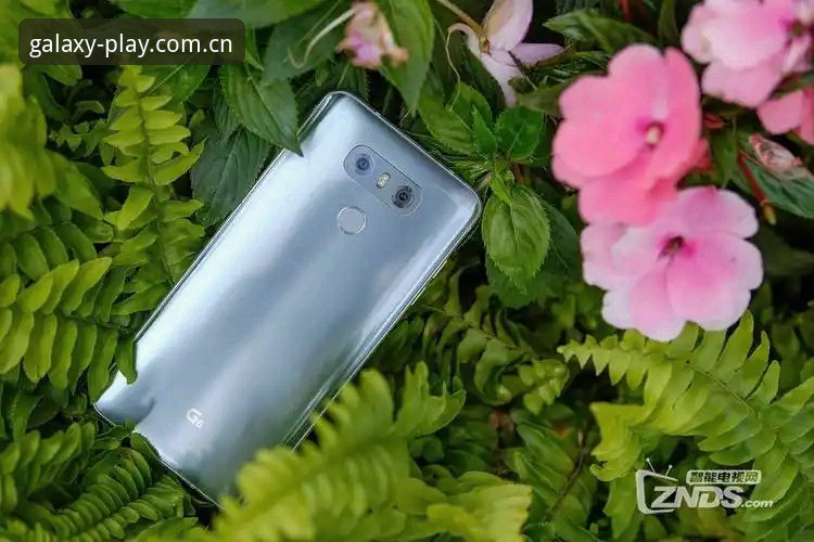 资深用户分享：银河娱乐APP官方下载的深度体验与实战心得